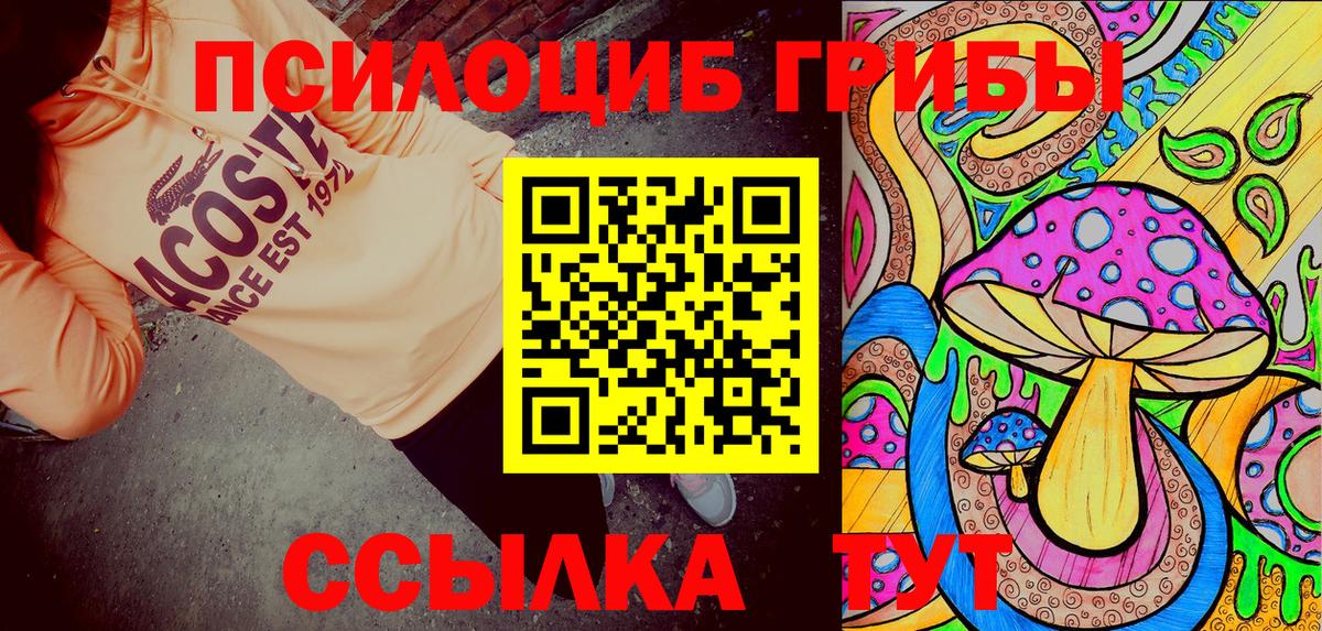 Холмск  Псилоцибиновые грибы MAGIC MUSHROOMS  Вход с VPN 