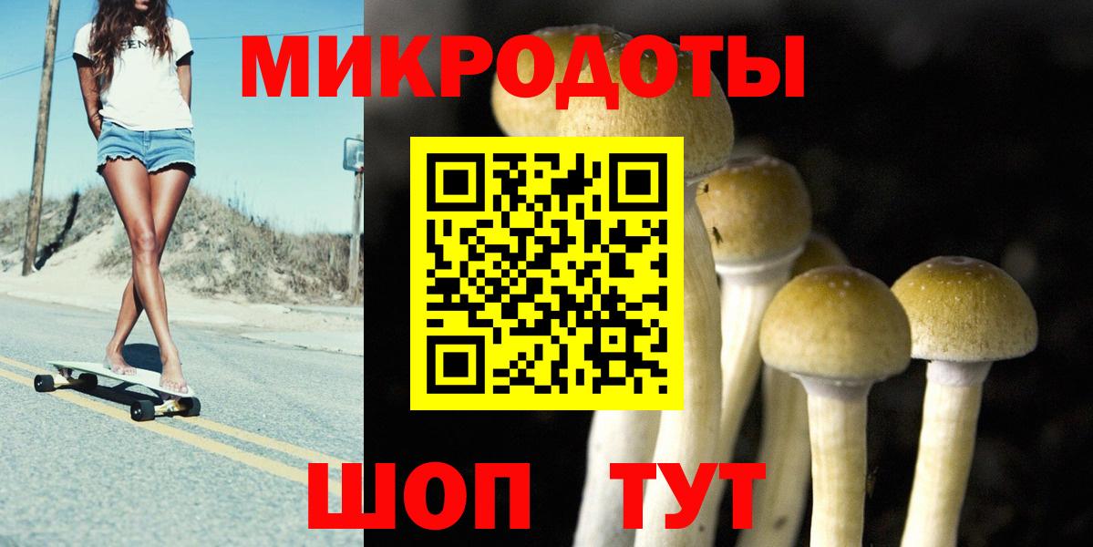 Псилоцибиновые грибы Psilocybine cubensis Холмск